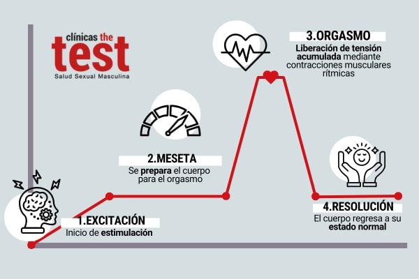 Diferencias biológicas en la sexualidad masculina y femenina